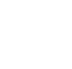 Disability Partners Logo